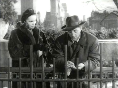 Lunch at Central Park