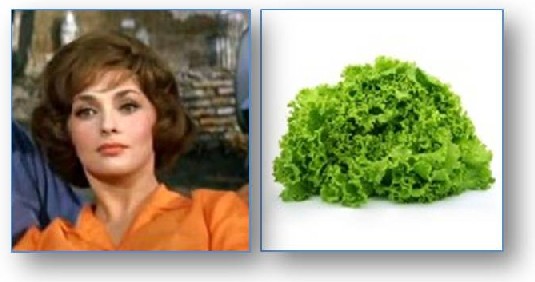Gina Lollobrigida and lollo lettuce
