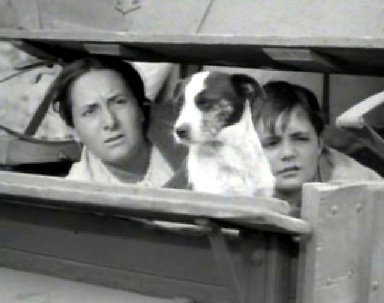 Renata Vanni as Mrs Moroni