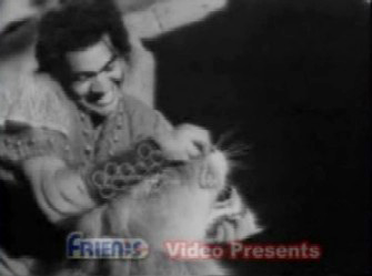 Aadil battles the lion Aadil battles the lion