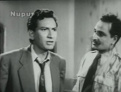 Insects (?) on the right one-third of the frame..