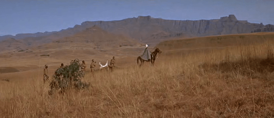 Bromhead goes hunting