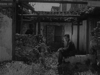 The decaying garden of the Da household