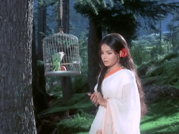 Kanchan in the woods