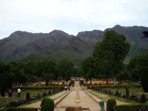A view of Nishat Bagh, Srinagar