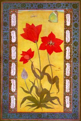 Tulip by Ustad Mansur