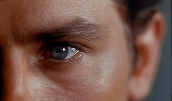 A closeup from Plein Soleil