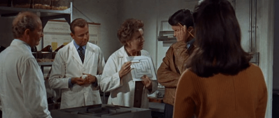 A race against Algernon