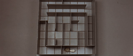 Algernon wins against Charly