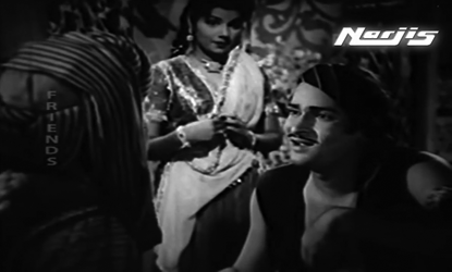 Sheemu, all grown up