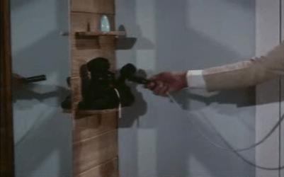 A poodle yields a bug