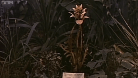 The Day of the Triffids (1962) | Dustedoff