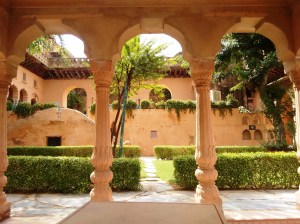 A little lawn and courtyard in Neemrana.