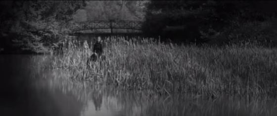 A mysterious woman watches from across the lake