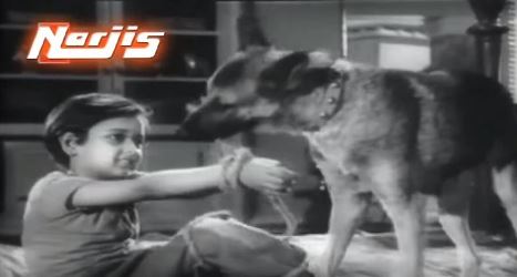 Raju gets some canine help