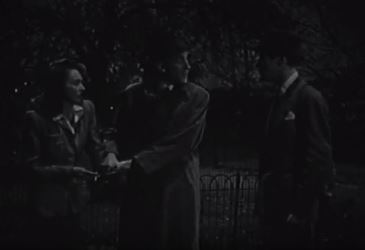 A cop tries to drag the woman away