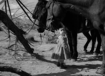 Judy Ann Dunn as Callie