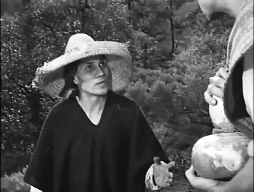 ... and some instructions